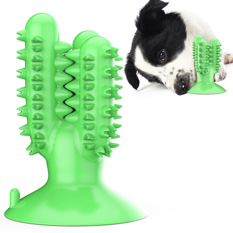 Pet Supplies Wholesale - โรงงานผลิตอุปกรณ์สัตว์เลี้ยง บริษัทขายส่ง ของเล่นสุนัขแบบใหม่ แปรงสีฟันรูปกระบองเพชร แท่งขัดฟัน ลูกบอล