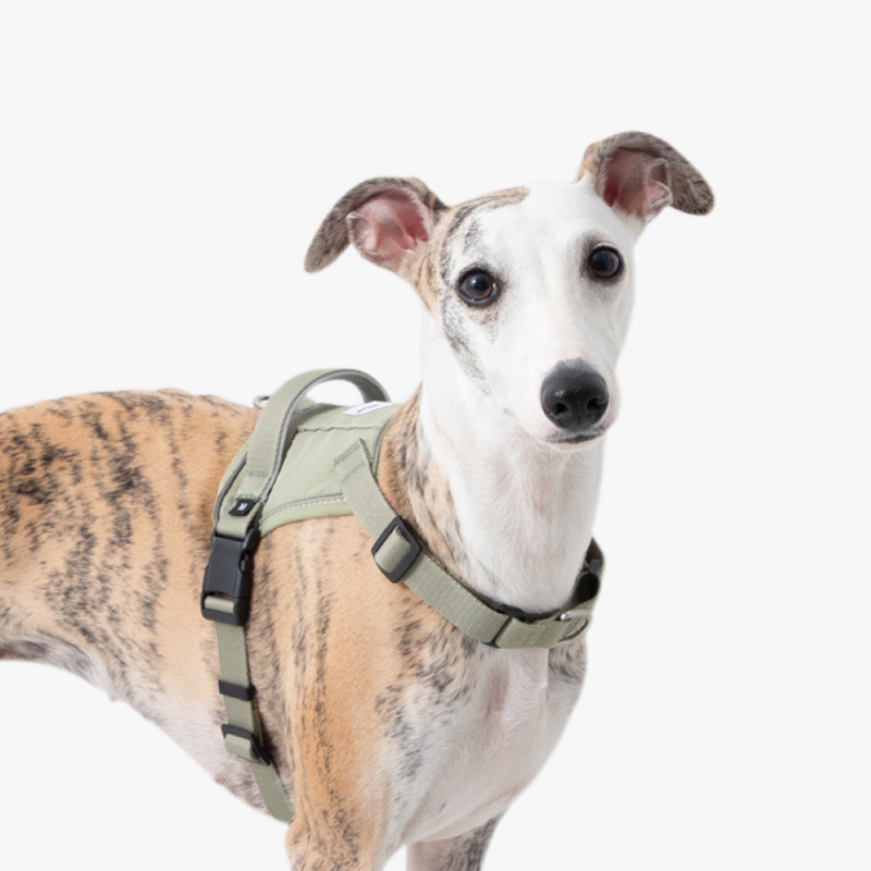 No Pull Dog Harness - สายรัดสุนัขแบบสวมเร็ว, เสื้อกั๊กป้องกันการดึงแบบไม่รัดคอ, คลิปหน้าและหลัง, ช่องซ่อนเครื่องติดตาม, สะท้อนแสง, ระบายอากาศได้ดี