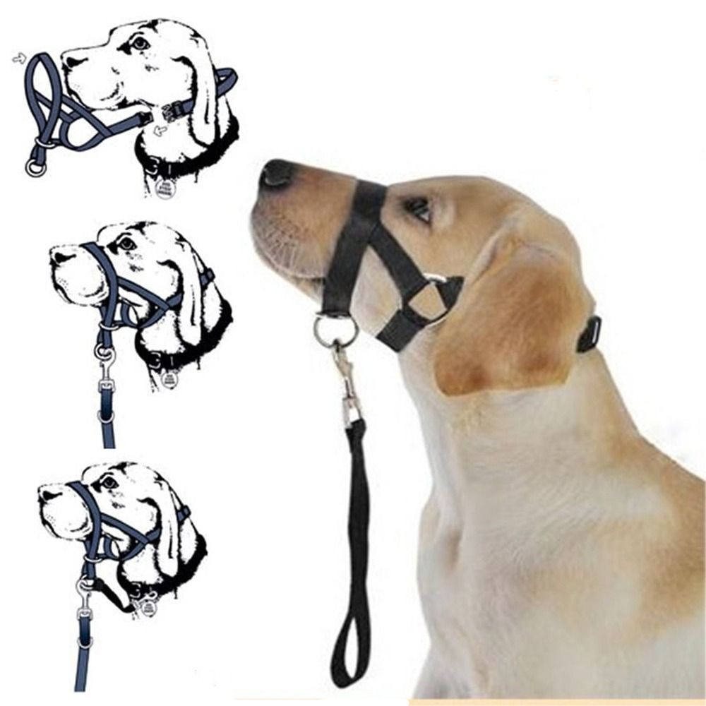 No Pull Dog Harness - ปลอกคอสุนัขแบบคล้องคอปรับได้ป้องกันการเห่าไม่ใช้สายจูง