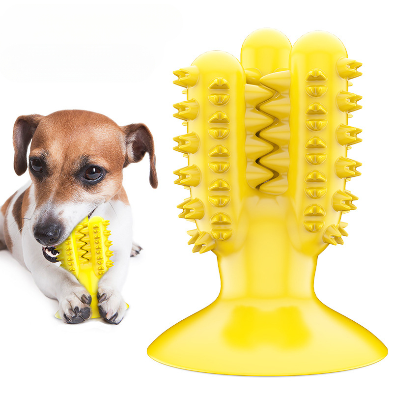 โรงงานผลิตอุปกรณ์สัตว์เลี้ยง บ - Pet Supplies Wholesale บทวิจารณ์และราคา