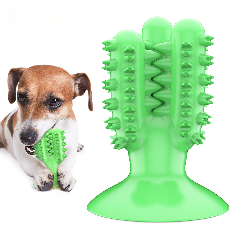โรงงานผลิตอุปกรณ์สัตว์เลี้ยง บ - Pet Supplies Wholesale บทวิจารณ์และราคา