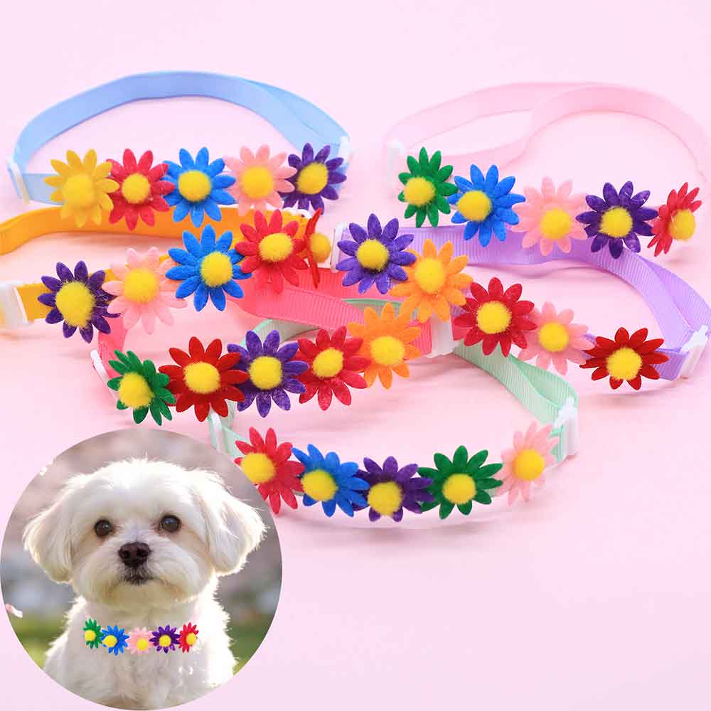 โบว์ผูกคอสุนัขหลากสี 50 ชิ้น พ - Pet Supplies Wholesale บทวิจารณ์และราคา