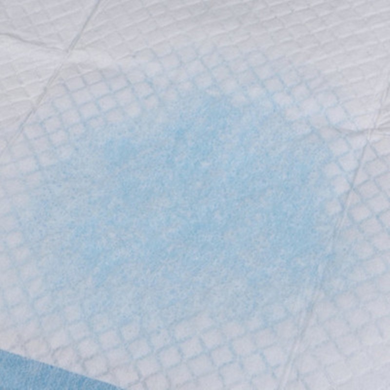 ขายส่งทิ้งการฝึกอบรม Pee Pads  - Pet Supplies Wholesale บทวิจารณ์และราคา