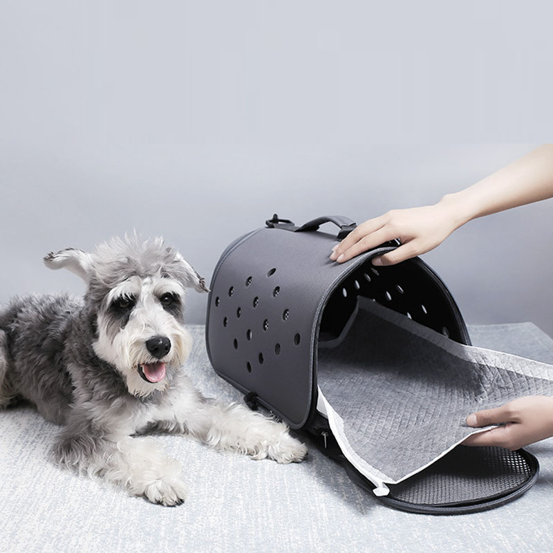 ขายส่งทิ้งการฝึกอบรม Pee Pads  - Pet Supplies Wholesale บทวิจารณ์และราคา
