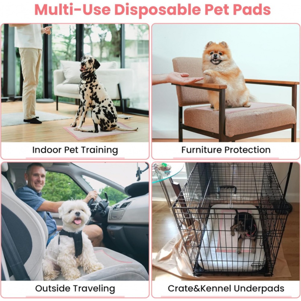 แผ่นรองซับปัสสาวะสำหรับสัตว์เล - Pet Supplies Wholesale บทวิจารณ์และราคา
