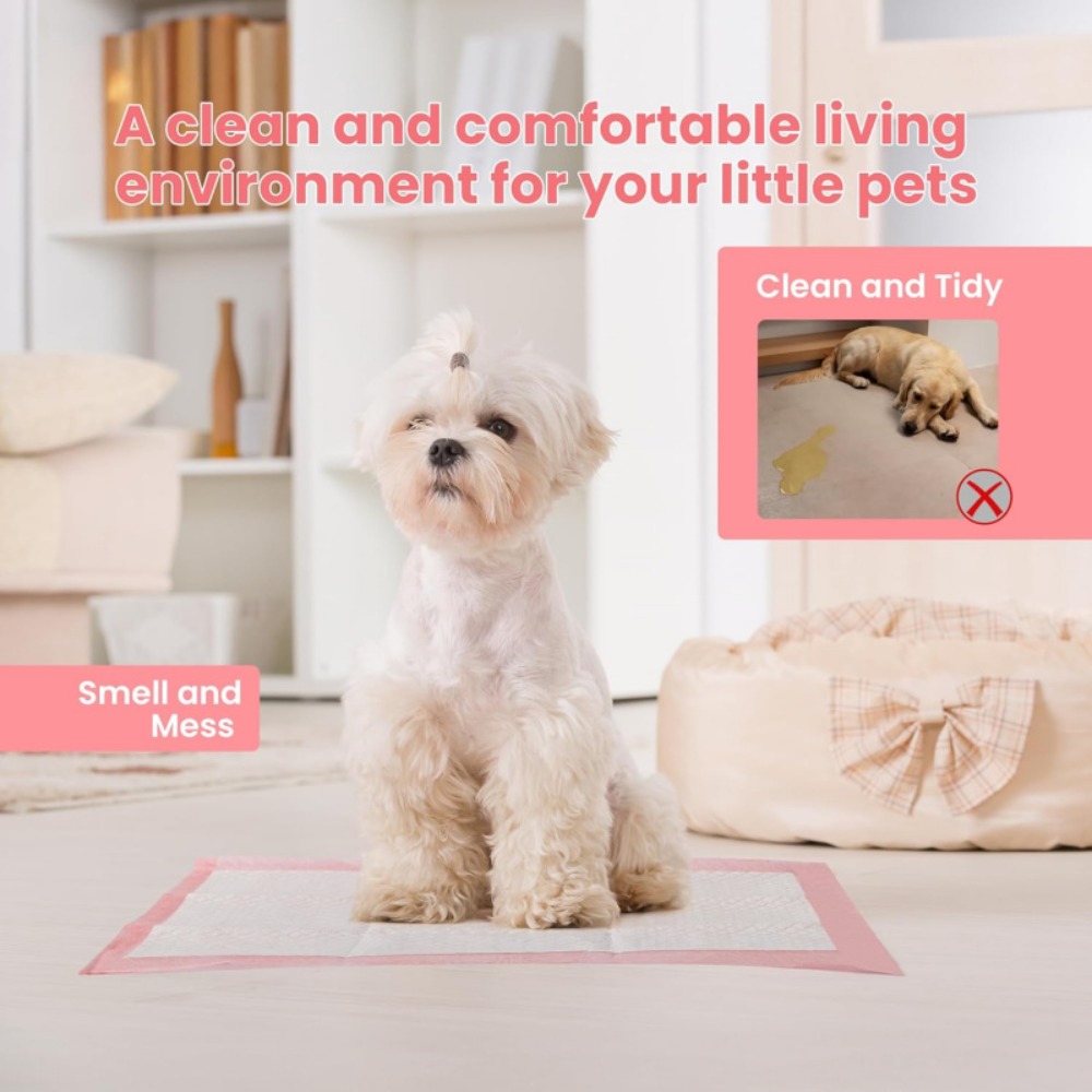 แผ่นรองซับปัสสาวะสำหรับสัตว์เล - Pet Supplies Wholesale บทวิจารณ์และราคา