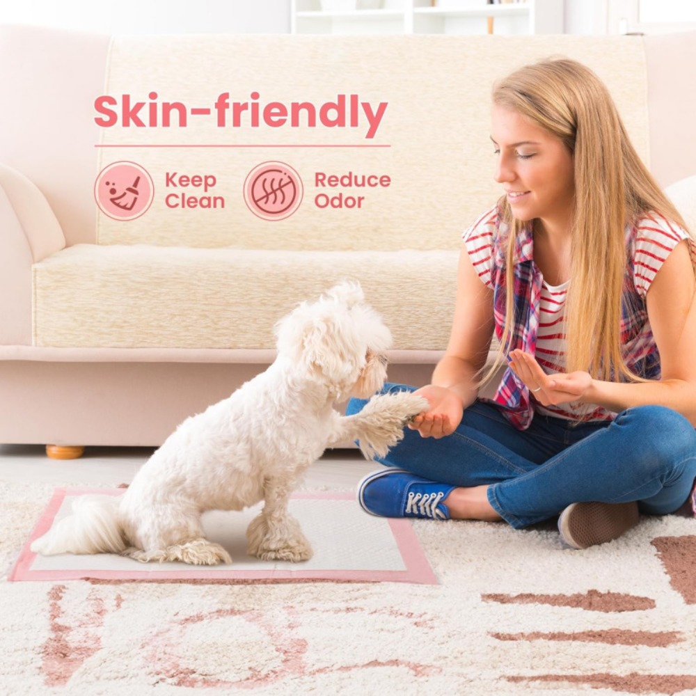 แผ่นรองซับปัสสาวะสำหรับสัตว์เล - Pet Supplies Wholesale บทวิจารณ์และราคา