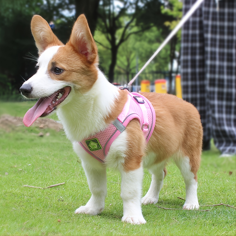 ชุดสายรัดและสายจูงสัตว์เลี้ยงส - No Pull Dog Harness บทวิจารณ์และราคา