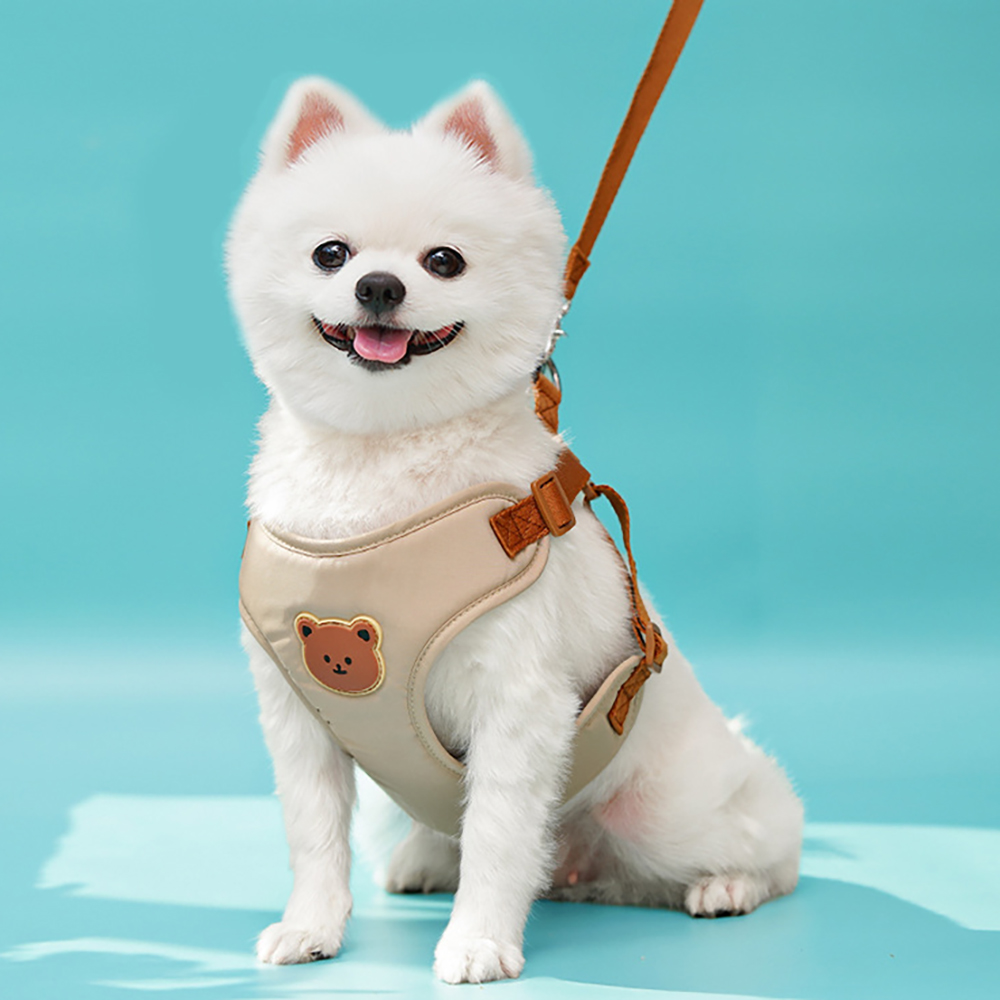 ชุดสายจูงและเสื้อกั๊กสำหรับสุน - No Pull Dog Harness บทวิจารณ์และราคา