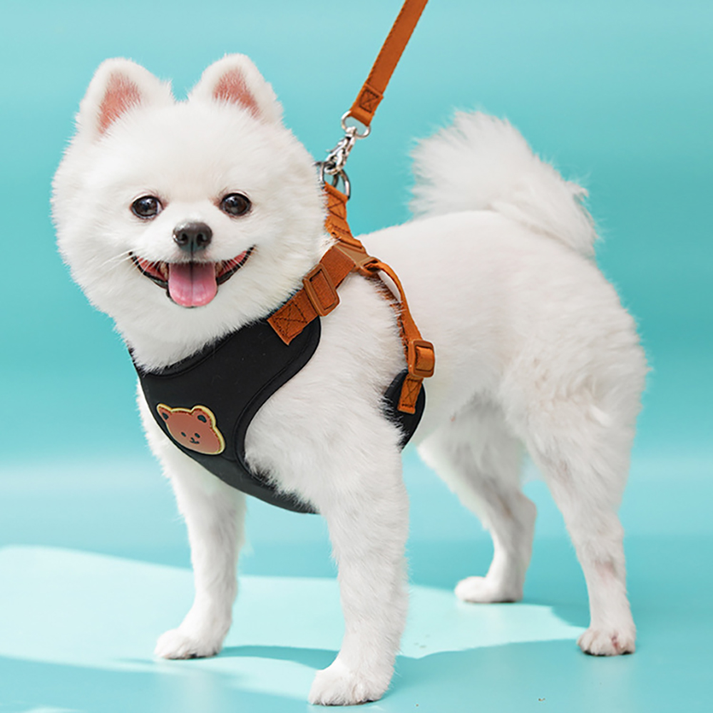 ชุดสายจูงและเสื้อกั๊กสำหรับสุน - No Pull Dog Harness บทวิจารณ์และราคา