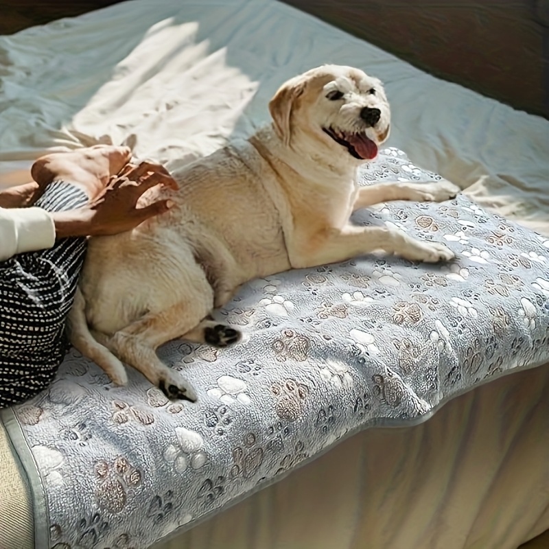 ผ้าขนหนูสำหรับสัตว์เลี้ยงที่นุ - Pet Supplies For Dogs บทวิจารณ์และราคา