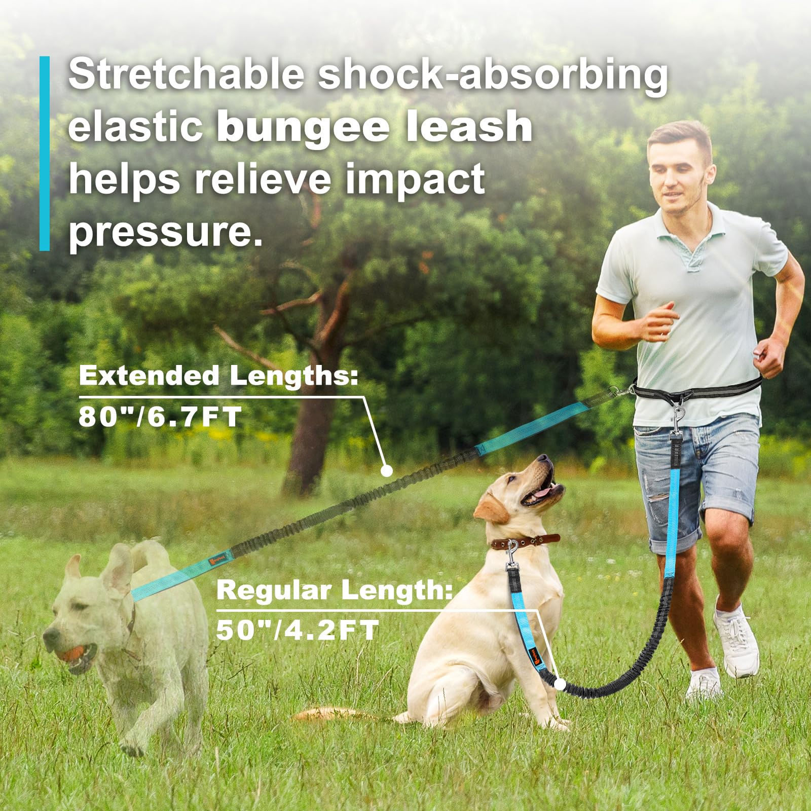 สายจูงสุนัขแบบยืดหยุ่นสองชั้น  - Pet Supplies Wholesale บทวิจารณ์และราคา