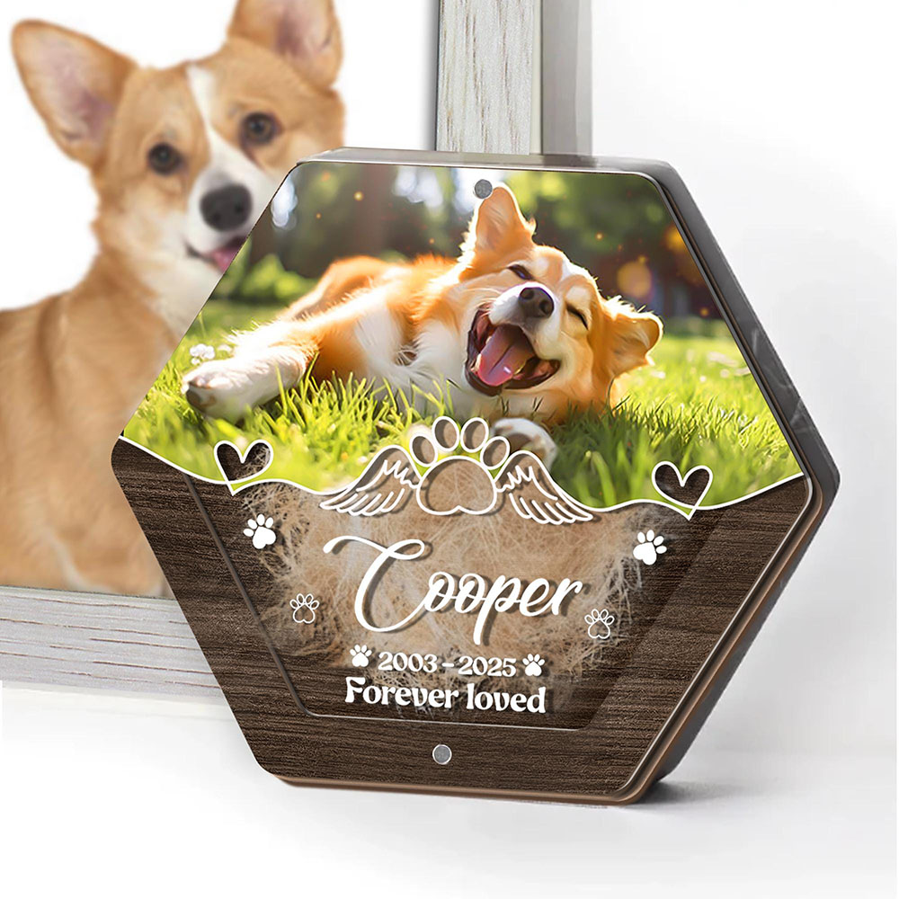 ส่วนบุคคลชื่อไม้แกะสลักสัตว์เล - Pet Supplies For Dogs บทวิจารณ์และราคา