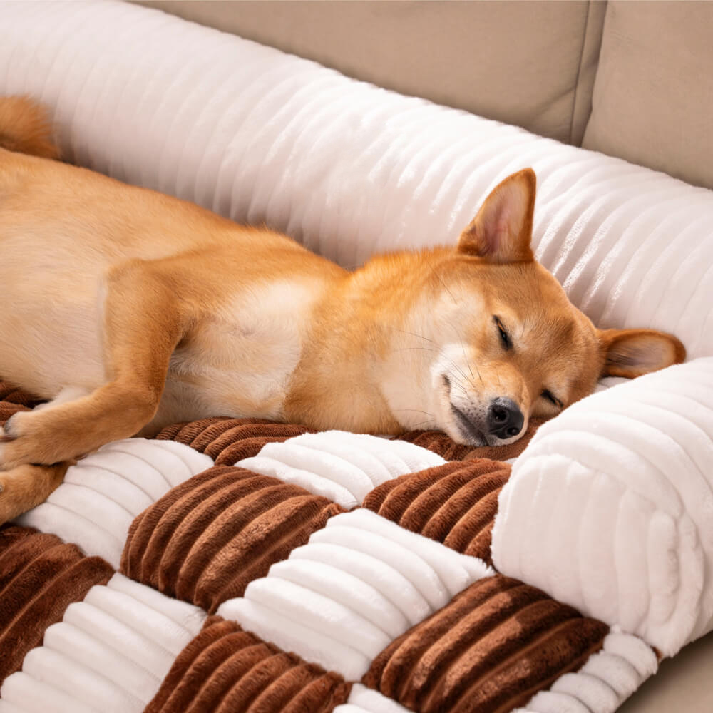 เบาะนอนสำหรับสุนัขและแมวที่ช่ว - Calming Dog Bed บทวิจารณ์และราคา