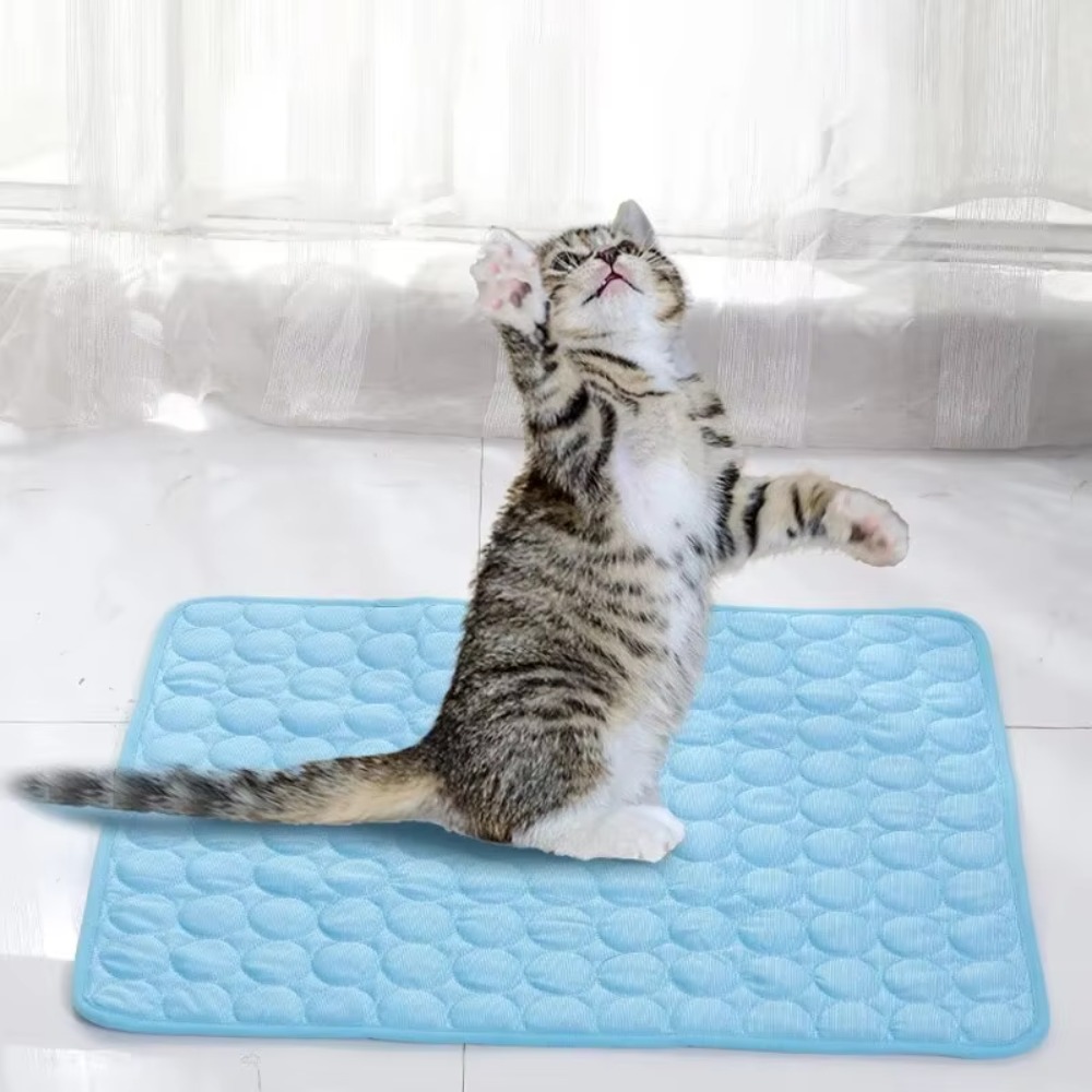 แผ่นรองนอนเย็นสำหรับสัตว์เลี้ย - Calming Dog Bed บทวิจารณ์และราคา