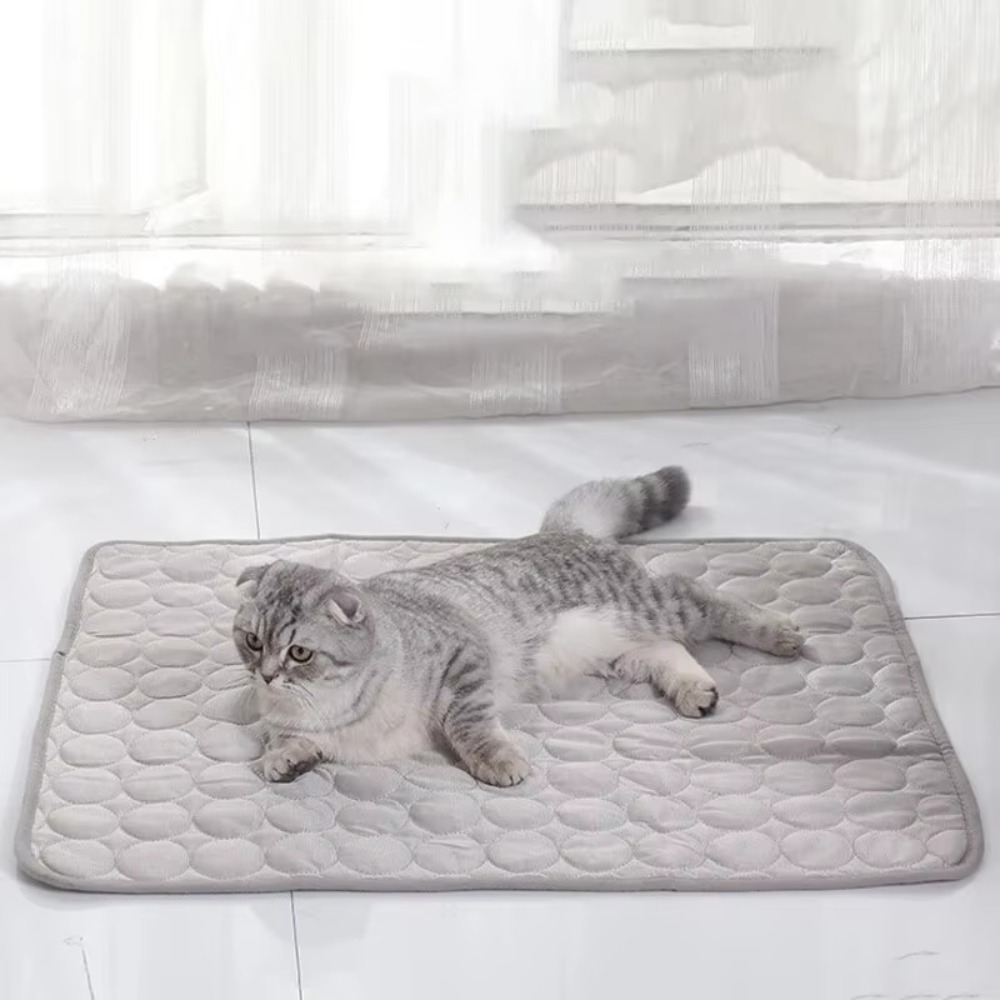 แผ่นรองนอนเย็นสำหรับสัตว์เลี้ย - Calming Dog Bed บทวิจารณ์และราคา