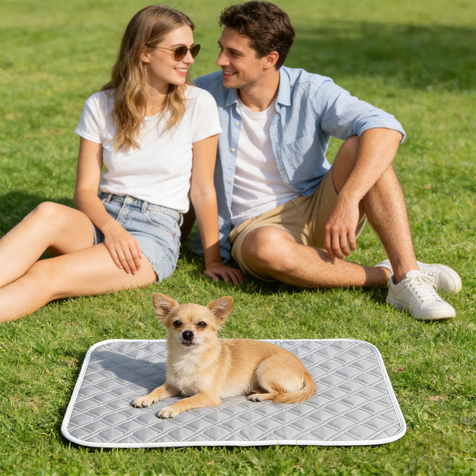 แผ่นรองทำความเย็นสำหรับสุนัขแล - Calming Dog Bed บทวิจารณ์และราคา