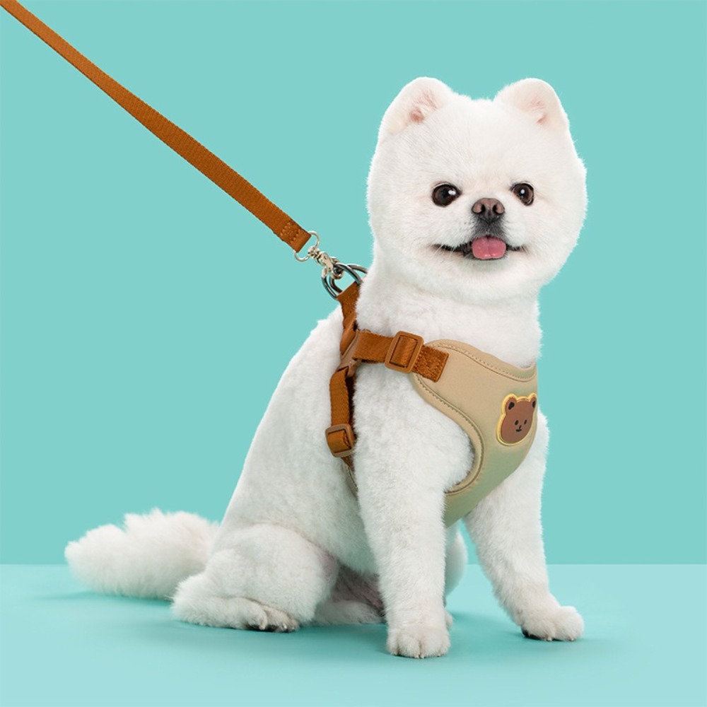 Creative น่ารักสัตว์เลี้ยง Har - No Pull Dog Harness บทวิจารณ์และราคา
