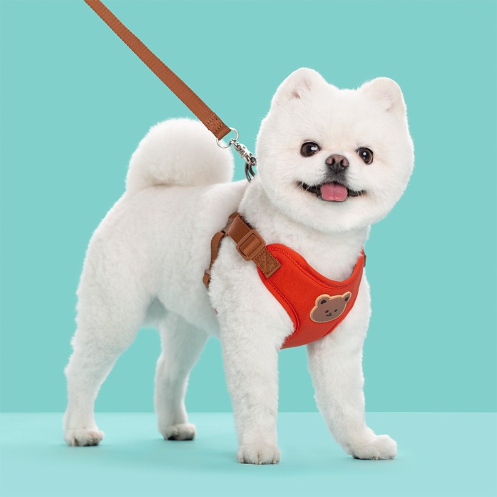 Creative น่ารักสัตว์เลี้ยง Har - No Pull Dog Harness บทวิจารณ์และราคา