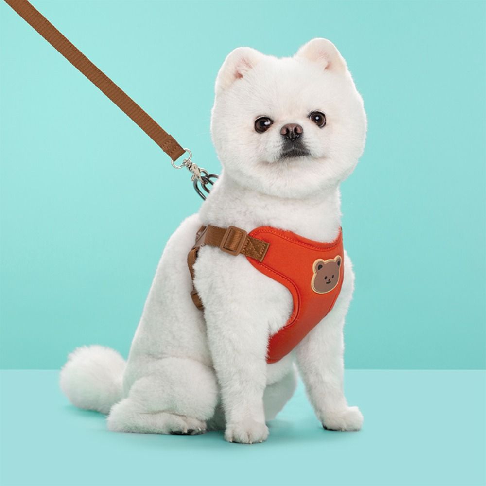 Creative น่ารักสัตว์เลี้ยง Har - No Pull Dog Harness บทวิจารณ์และราคา