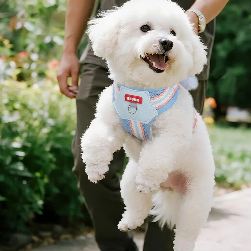 ชุดสายจูงสุนัขแบบปรับได้ ไม่รั - No Pull Dog Harness บทวิจารณ์และราคา