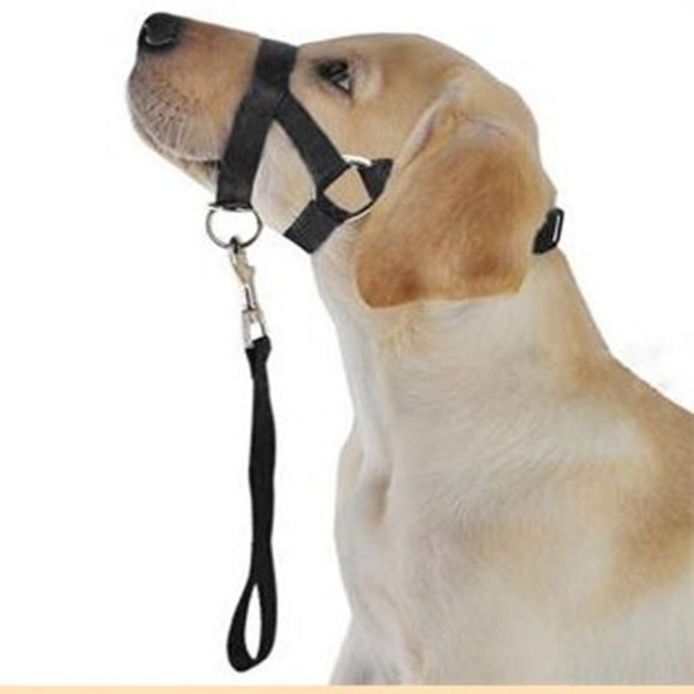 ปลอกคอสุนัขแบบคล้องคอปรับได้ป้ - No Pull Dog Harness บทวิจารณ์และราคา