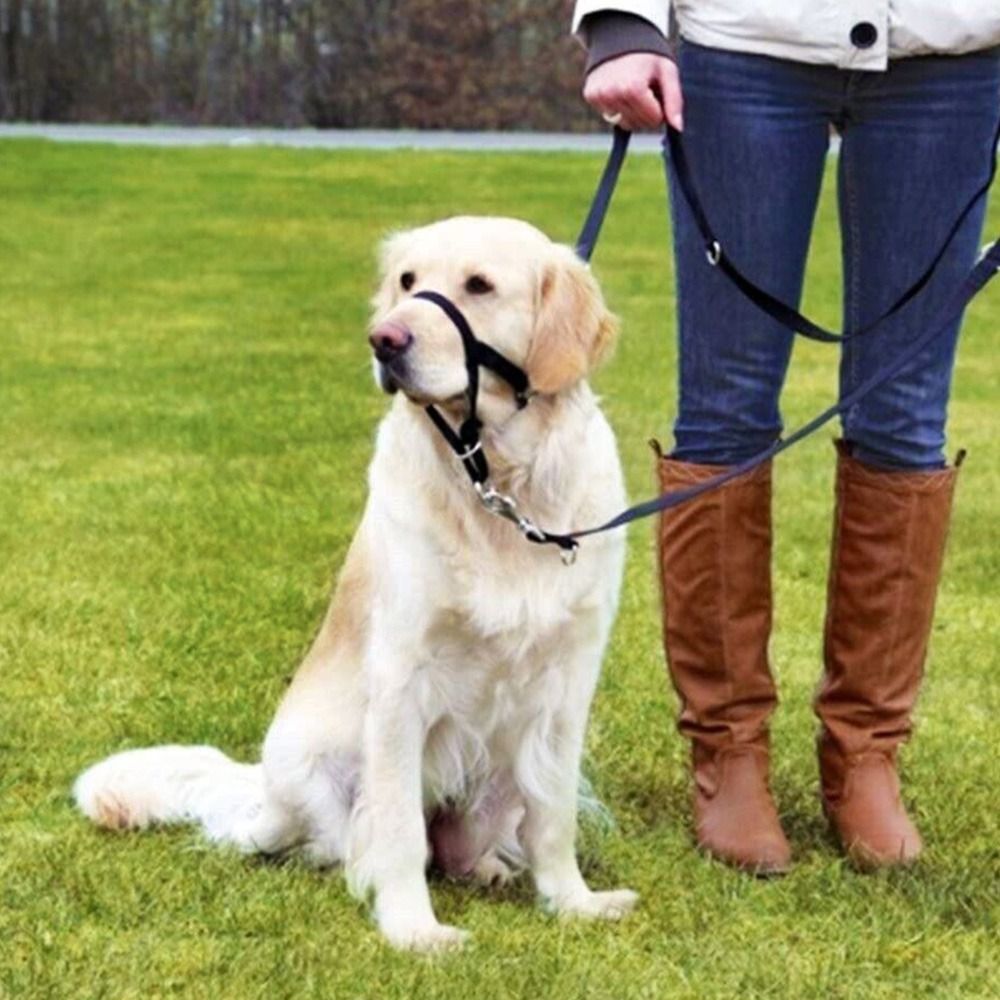 ปลอกคอสุนัขแบบคล้องคอปรับได้ป้ - No Pull Dog Harness บทวิจารณ์และราคา